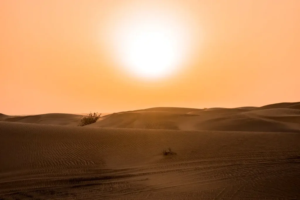 Rpta da Seda pelo deserto