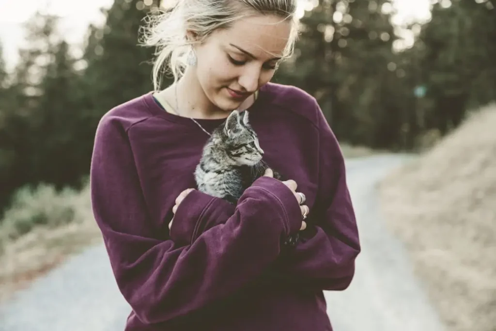 Gatos