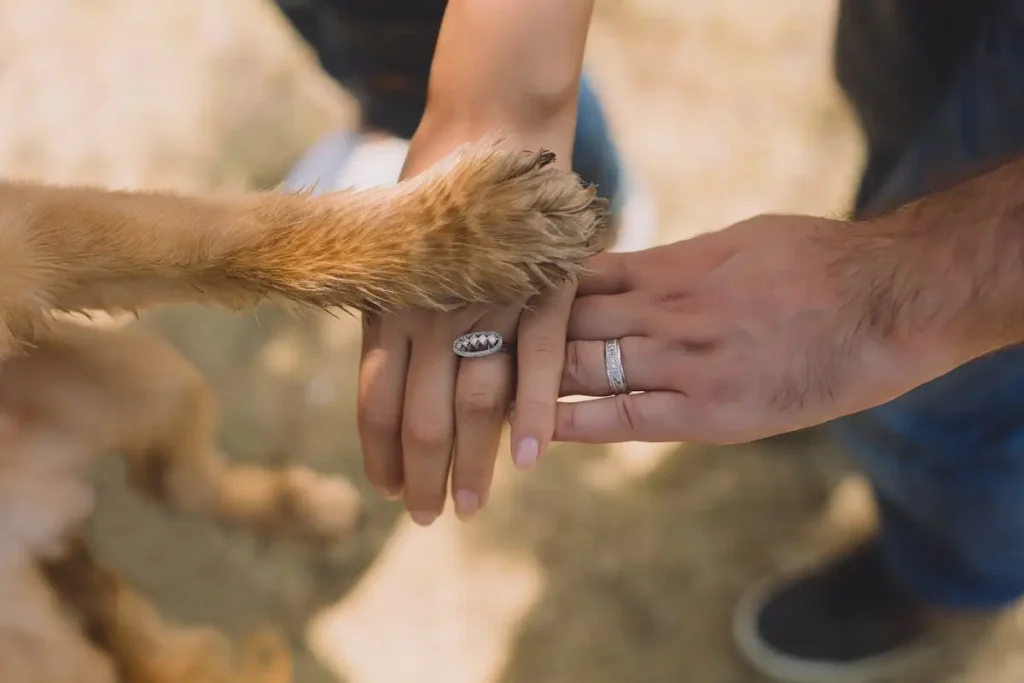 curiosidades sobre cachorros
